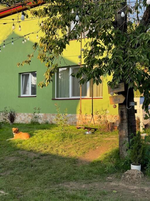 Casa Din Povesti In Mijlocul Naturii! Arad Bagian luar foto